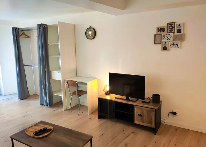 L'elegant - Focalimmo Фуа