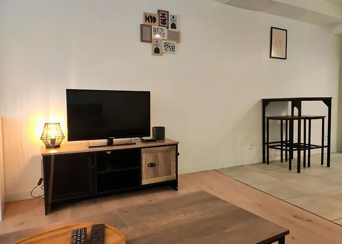 L'elegant - Focalimmo Апартаменты Фуа