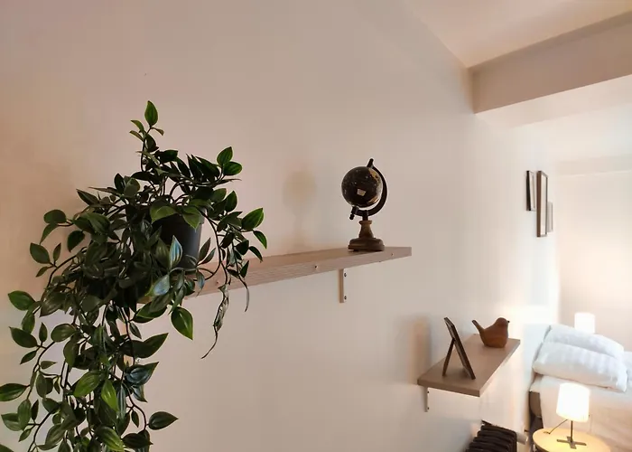 L'elegant - Focalimmo