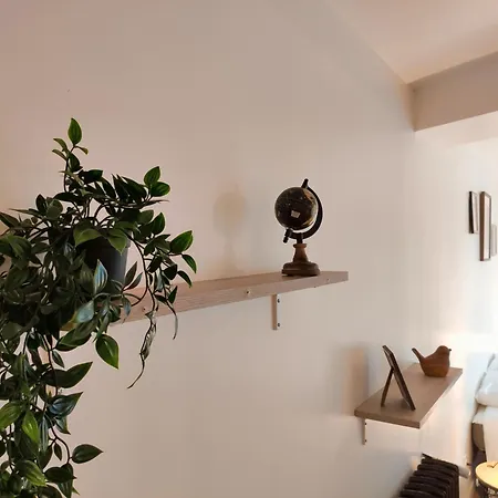 L'elegant - Focalimmo